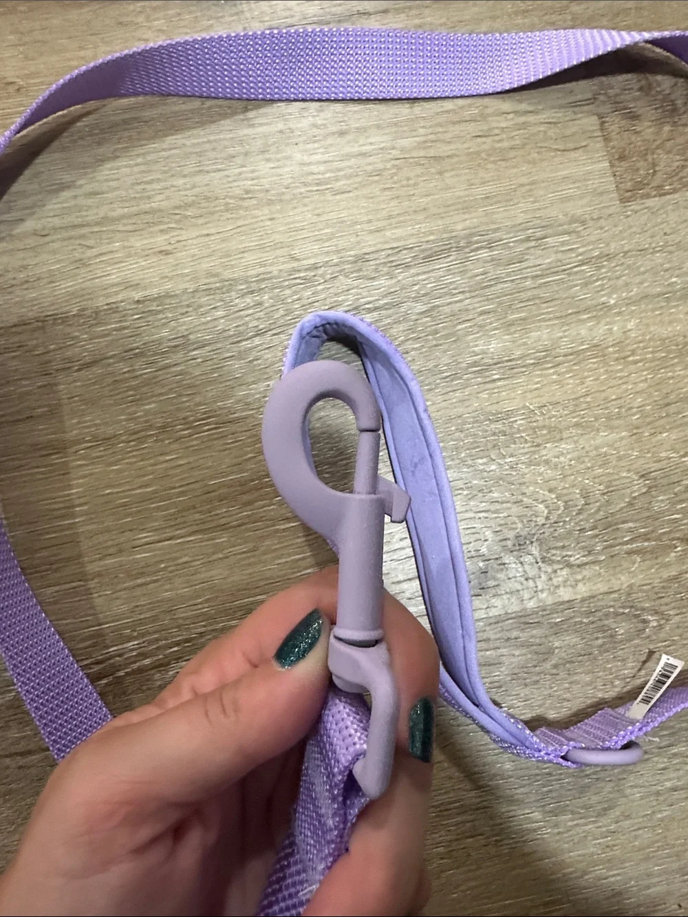 Lavender Dog Leash with Padded Handle. NWOT